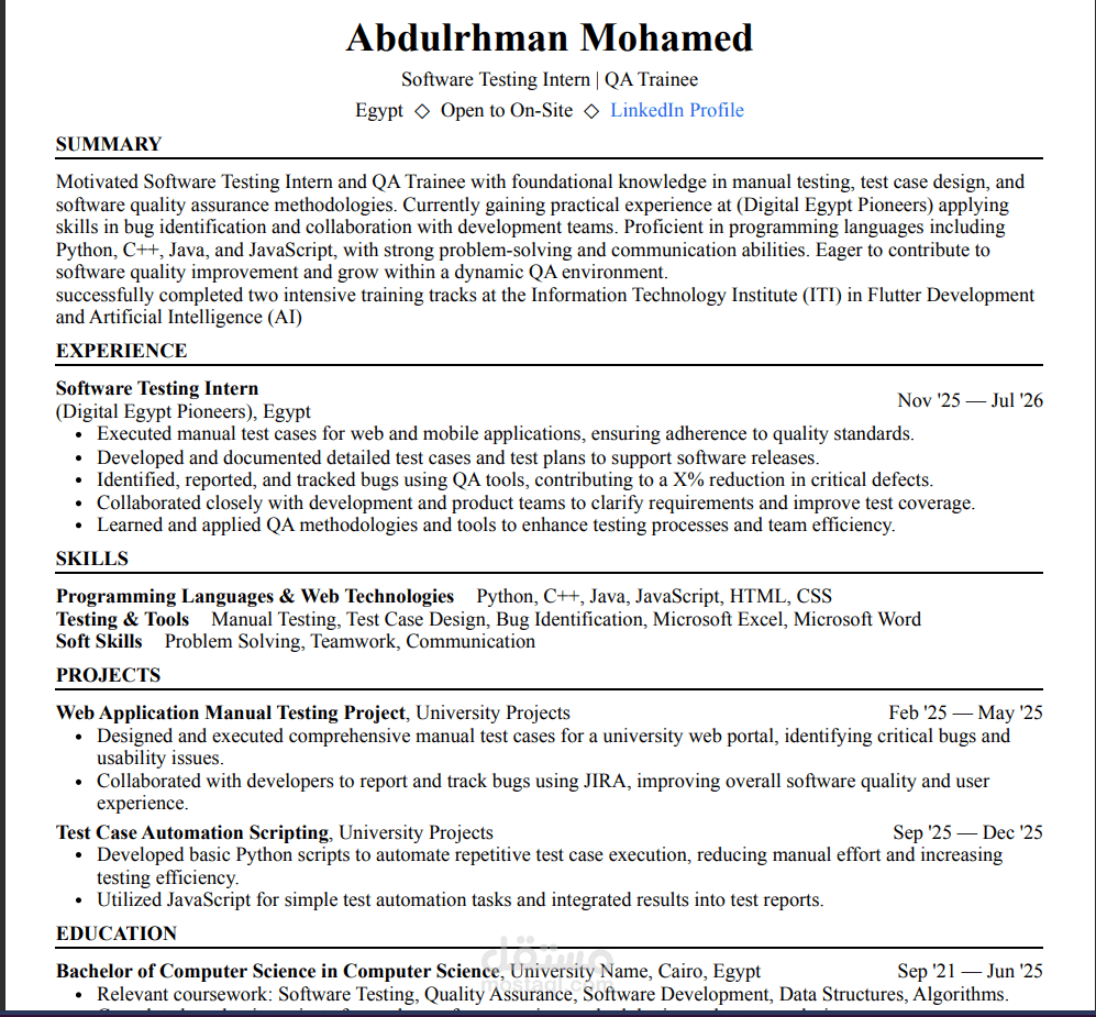 Professional ATS-Friendly CV Design