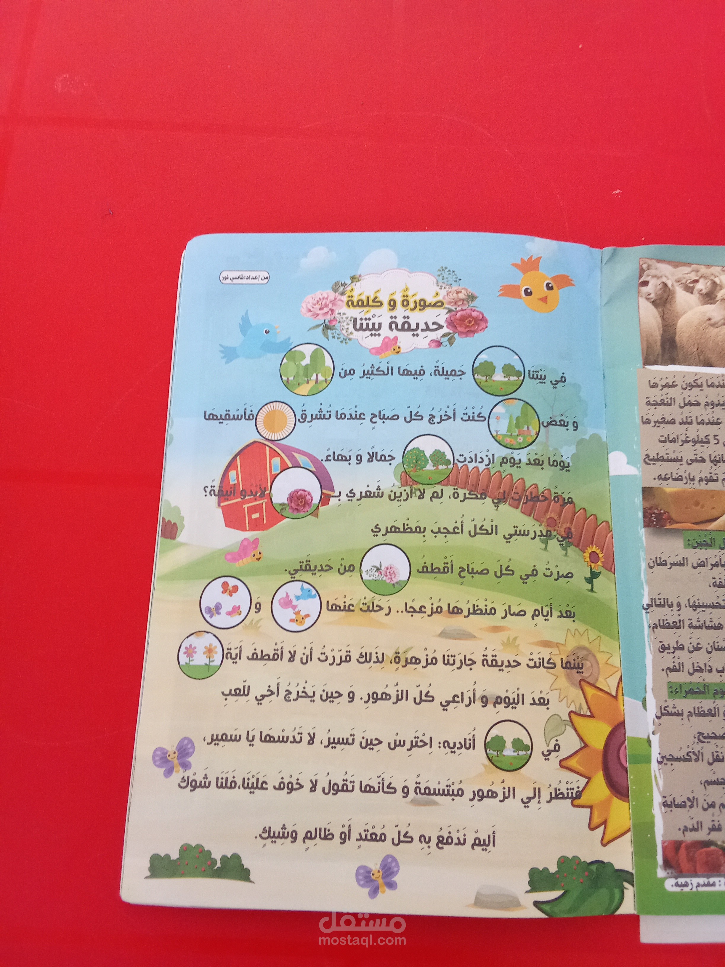 قصة حديقة بيتنا 'صورة وكلمة،"