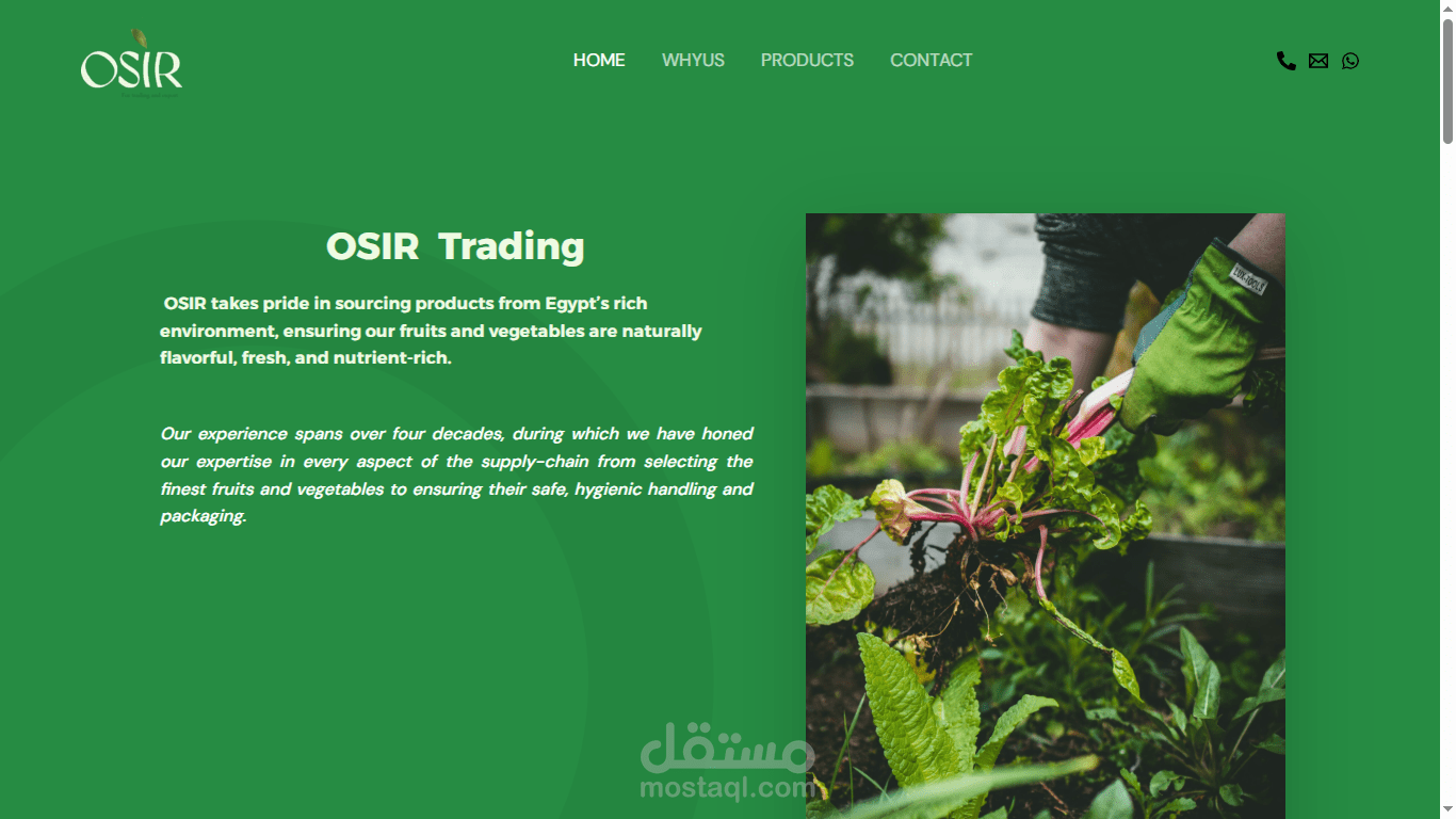 Trading and export website | WordPress