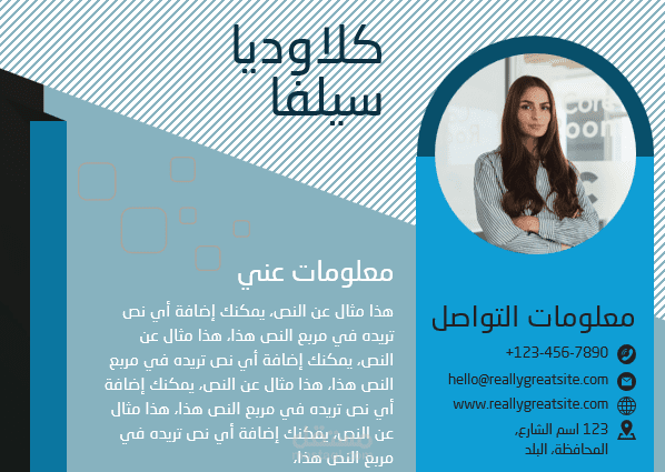 سيرة ذاتية احترافية