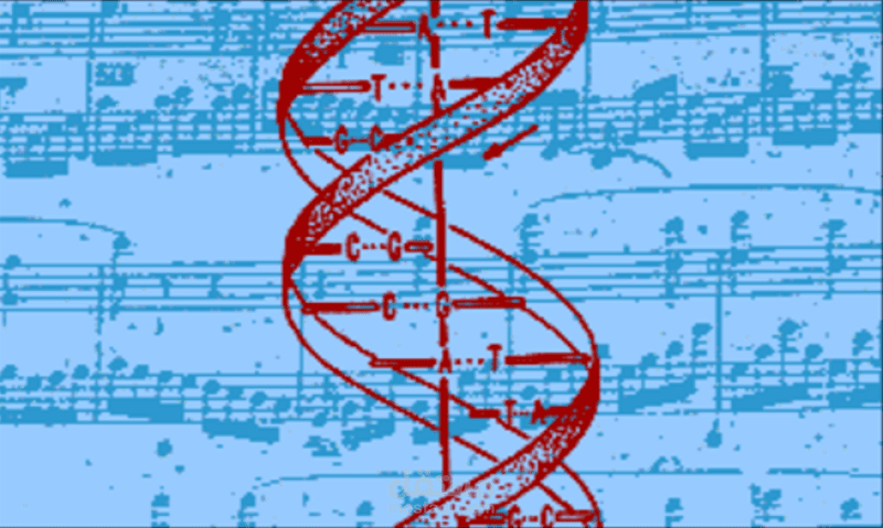 The Harmonious Connection between Music and Gene Expression ?