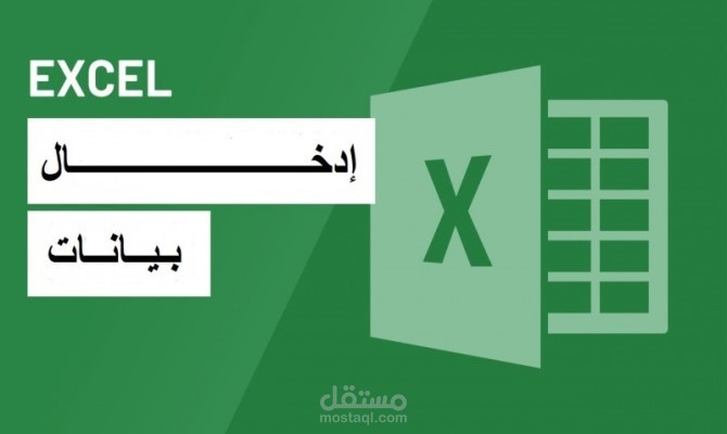 إدخال بيانات وتنظيم ملف إكسل بشكل دقيق ومنسق