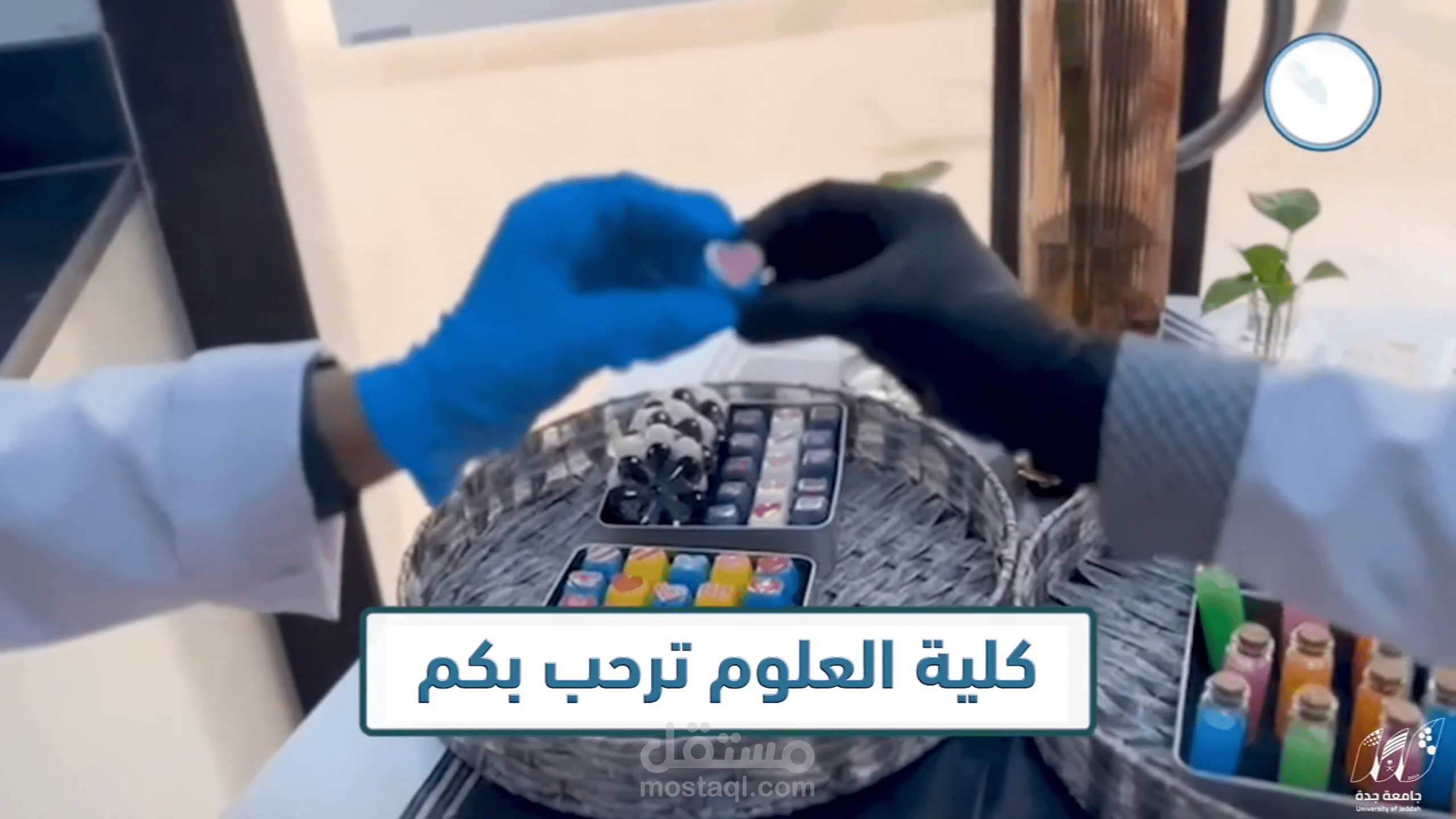 إعلان المخيم الصيفي 2025 | كلية العلوم – جامعة جدة