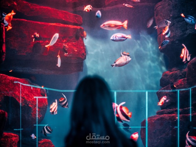 كتابة محتوى سياحي مطابق لمعايير الـ SEO