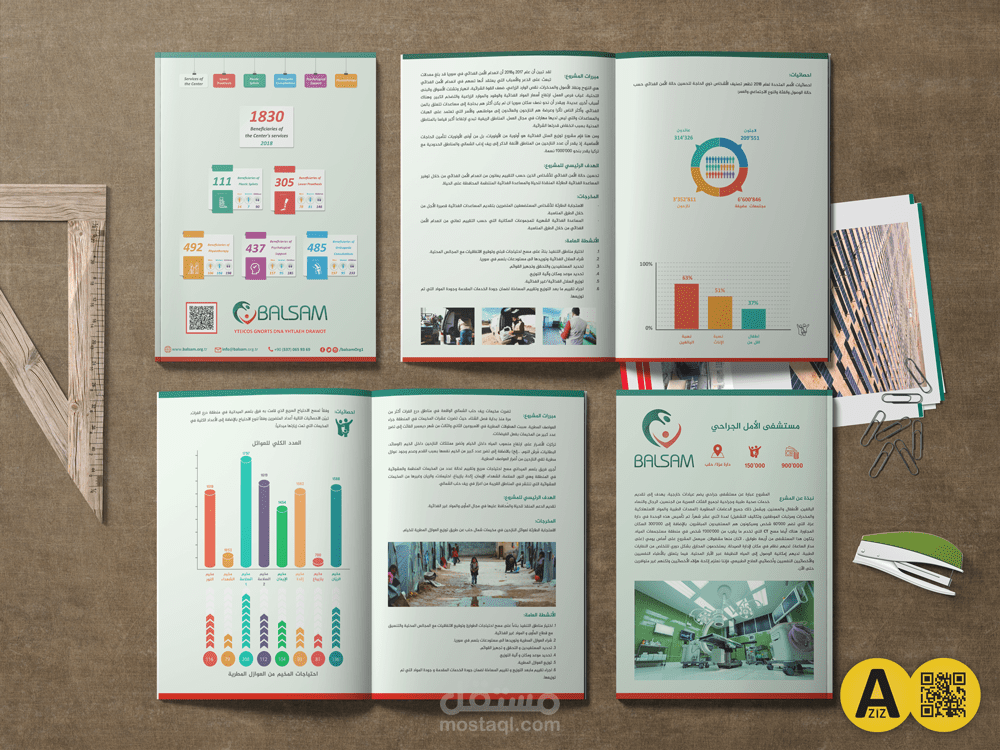 #973 Project proposals - concept note - مقترحات مشاريع