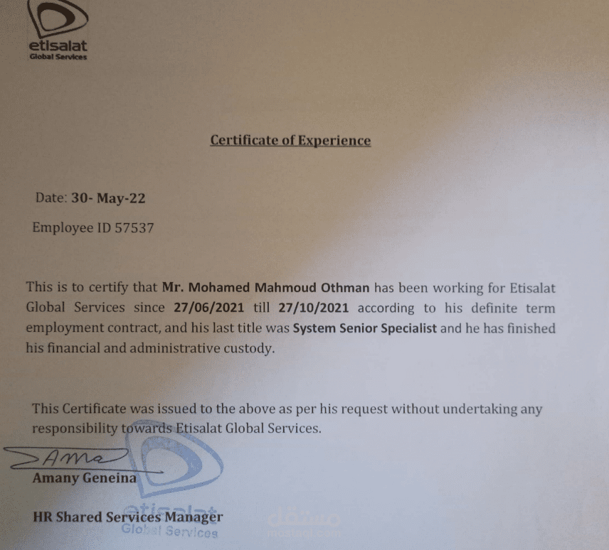 مطور في شركة اتصالات المصرية