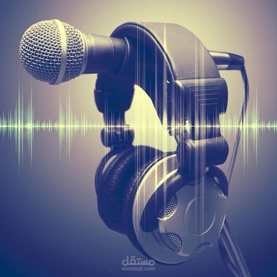عملت كمعدة فيديوهات صحفية، ومُعلقة صوتية "voice over"