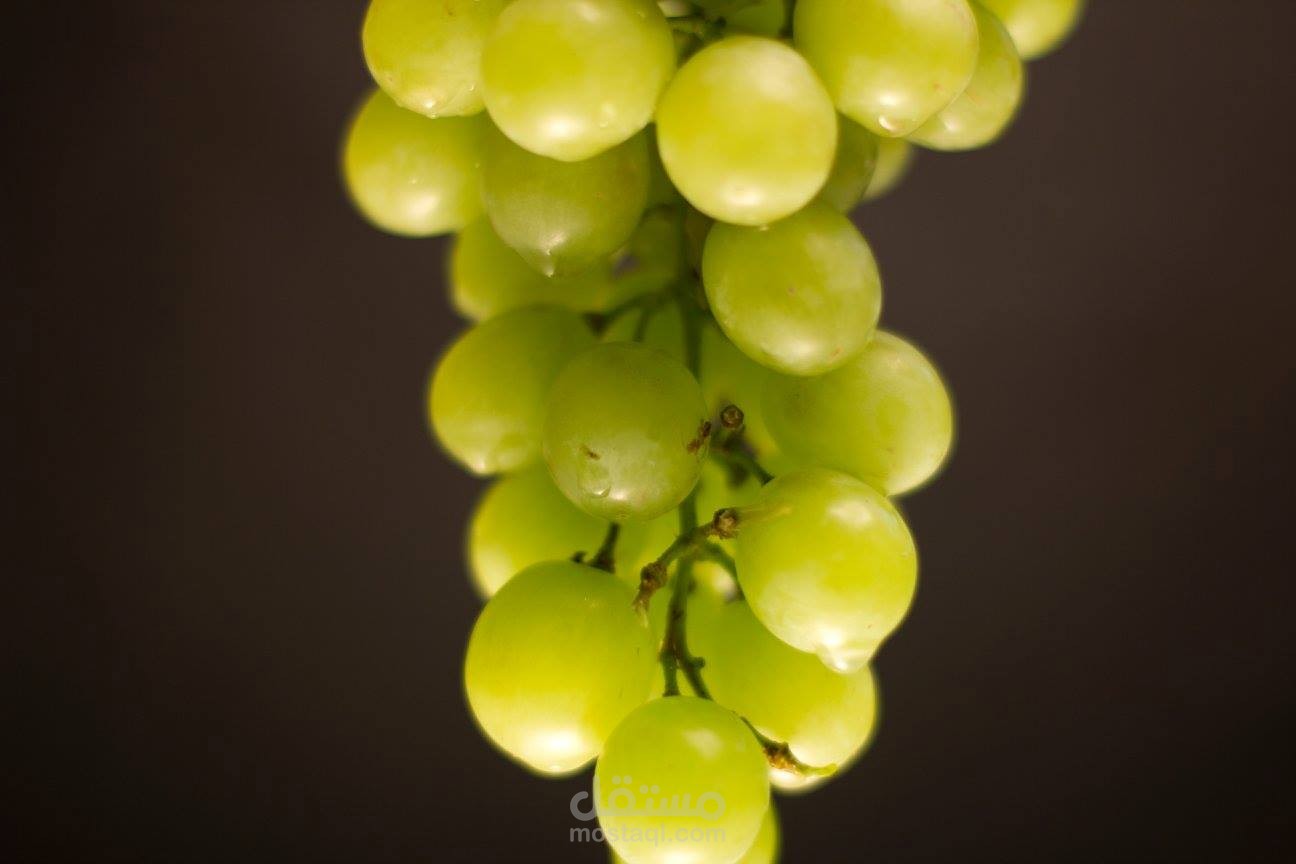 تصوير فوتوجرافي