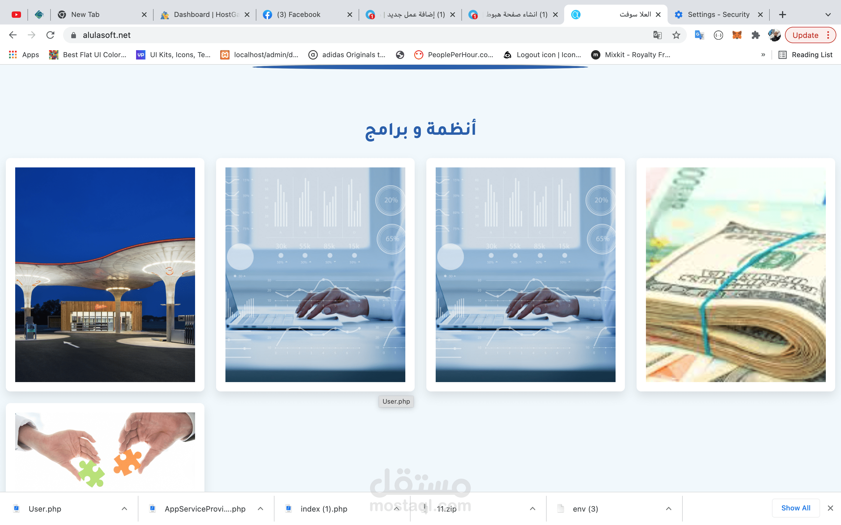 مؤسسة برمجيات