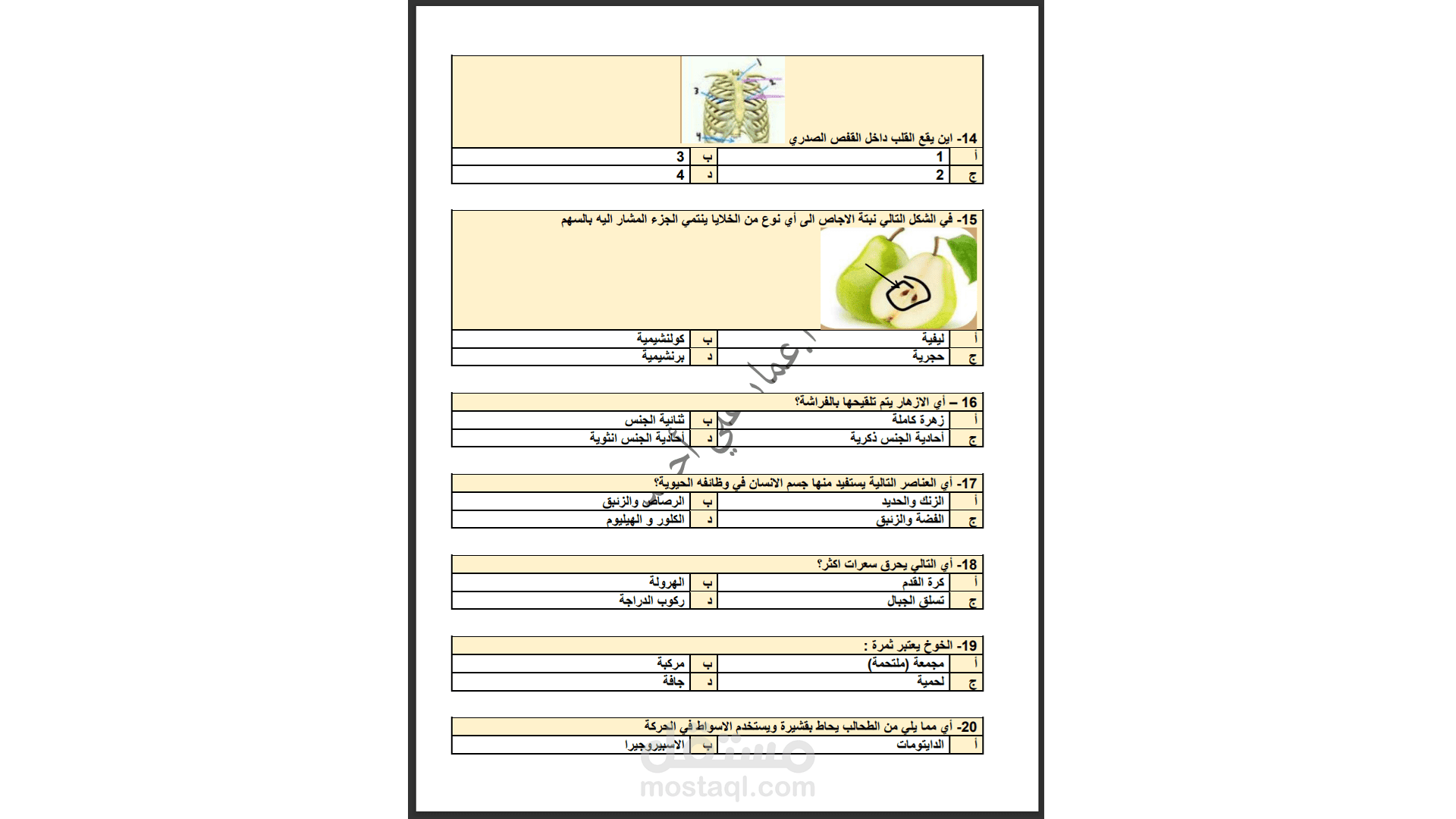 اسئلة تحصيلية جديدة