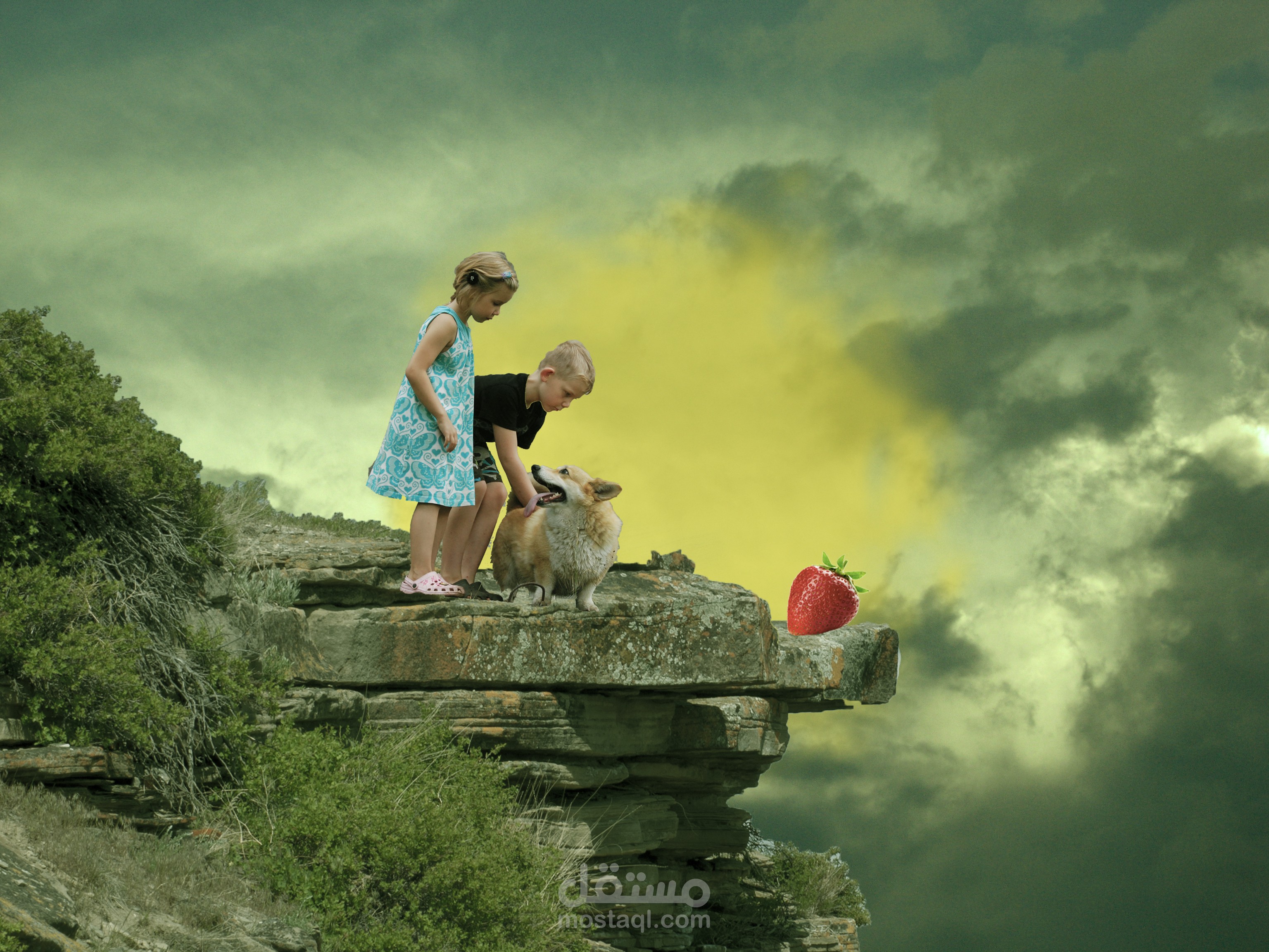 تصميم فيديو على برنامج البريمير