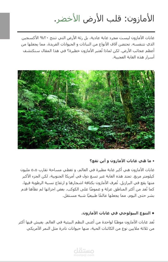 غابات الأمازون: قلب الأرض الأخضر.
