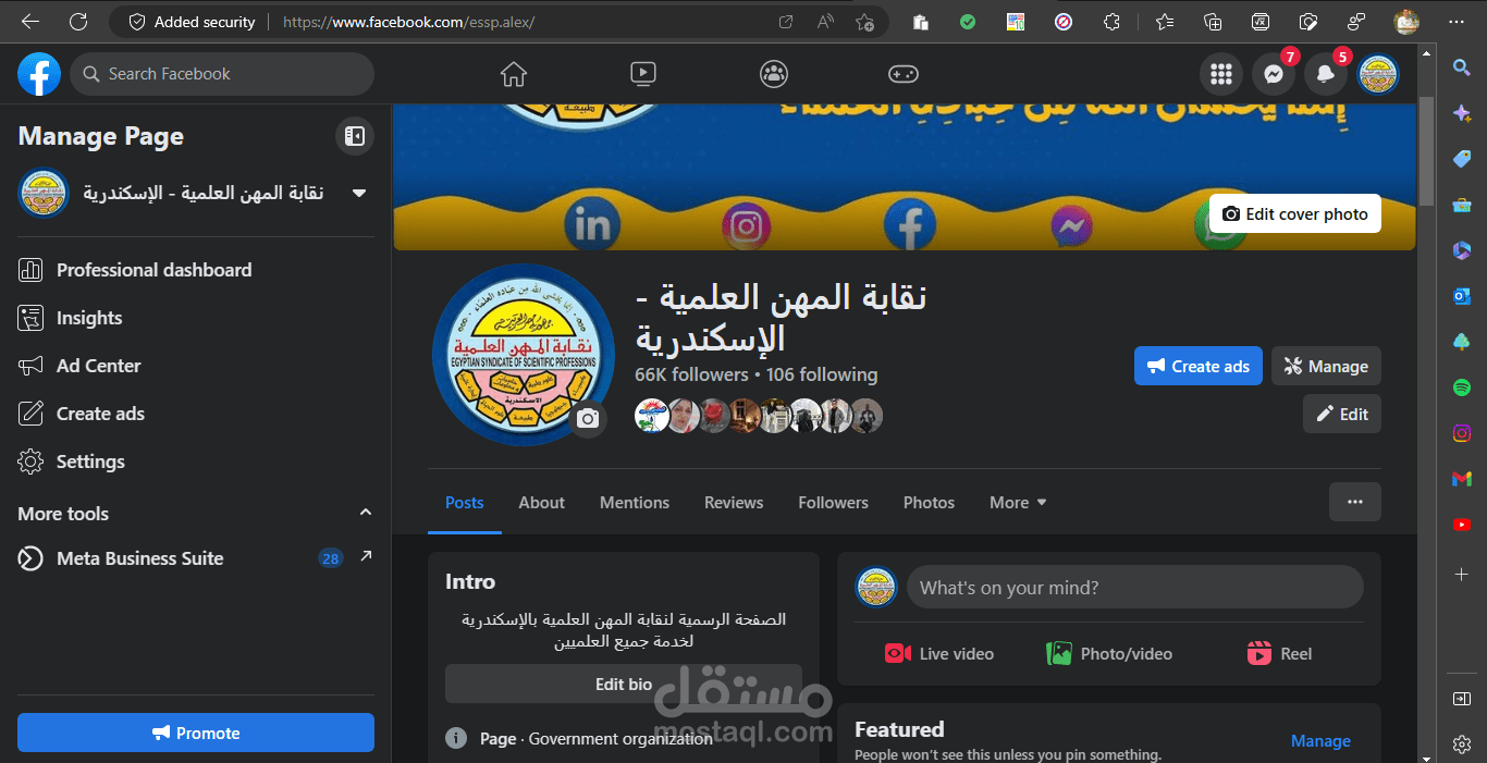 Social Media manager at The Egyption Syndicate of Scientific Professions Alexandria