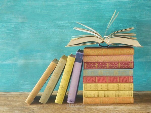 "الثقافة… سلاح الإنسان الذي لا يُفارق