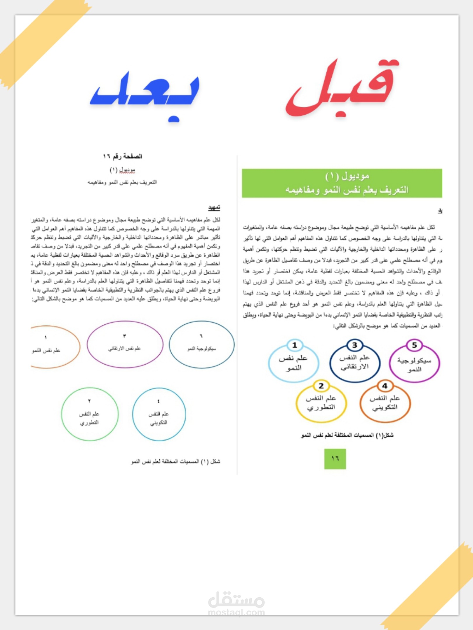 تفريغ وتنسيق كتاب أكاديمي (علم نفس النمو).
