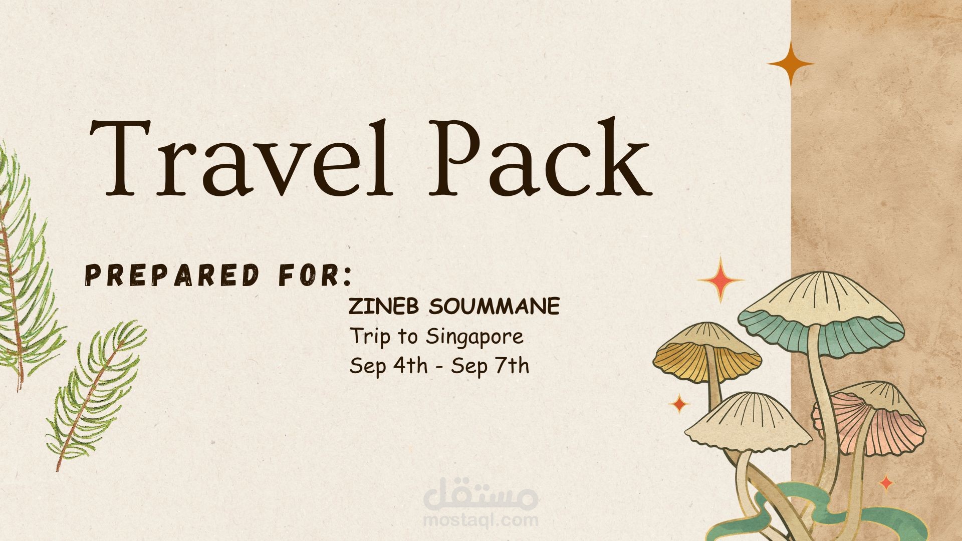 Travel Pack