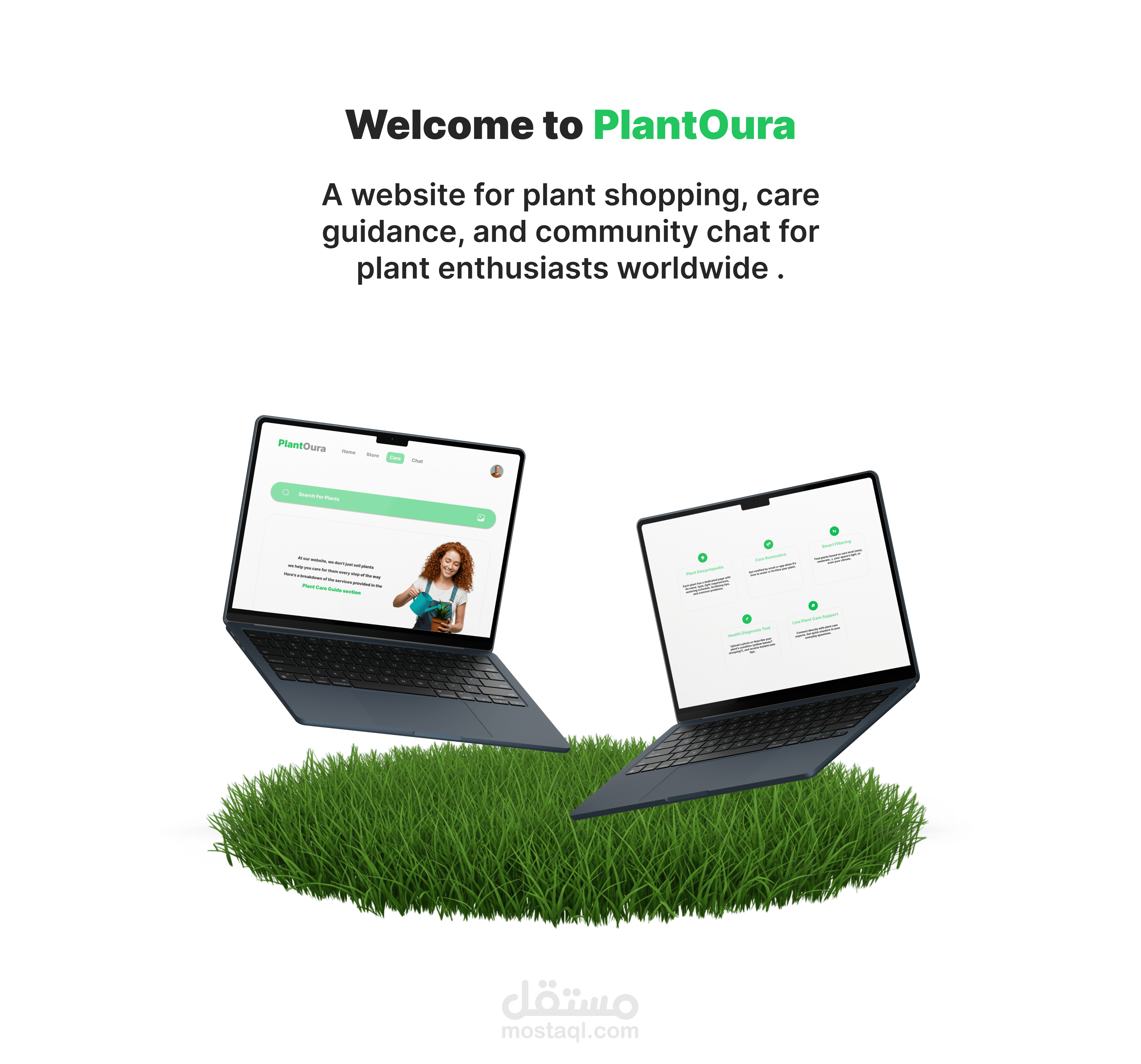 PlantOura UI UX Web Design