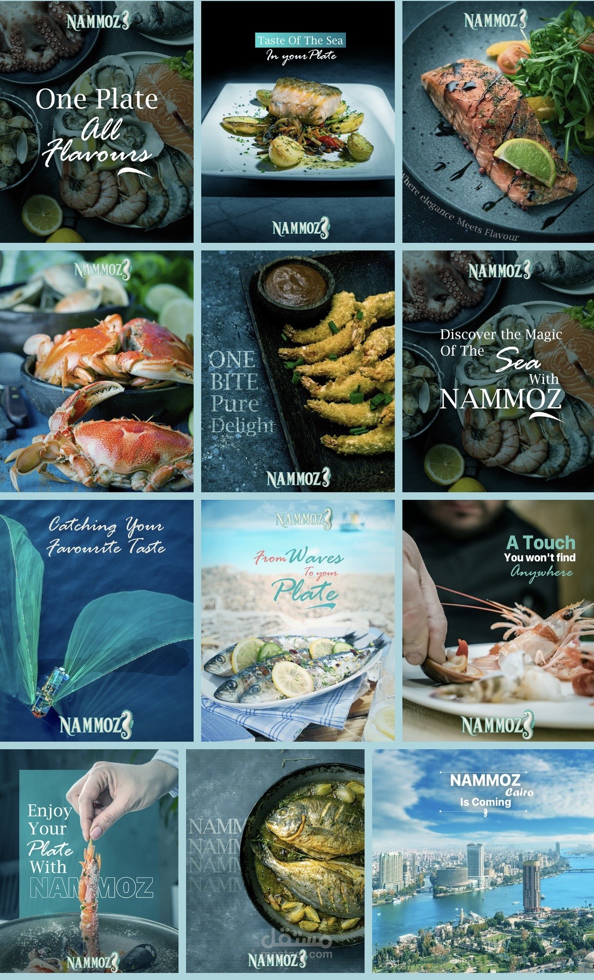 الهوية الكاملة و الدعائية لمحل الأسماك نامووز بالقاهرة