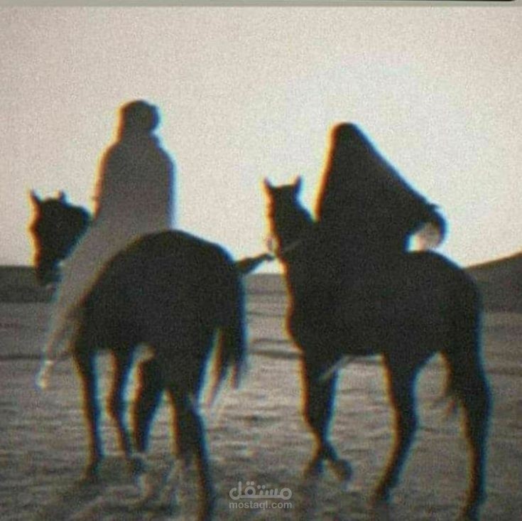 إنني يا رئيفة رجلٌ معجونٌ بالخوف