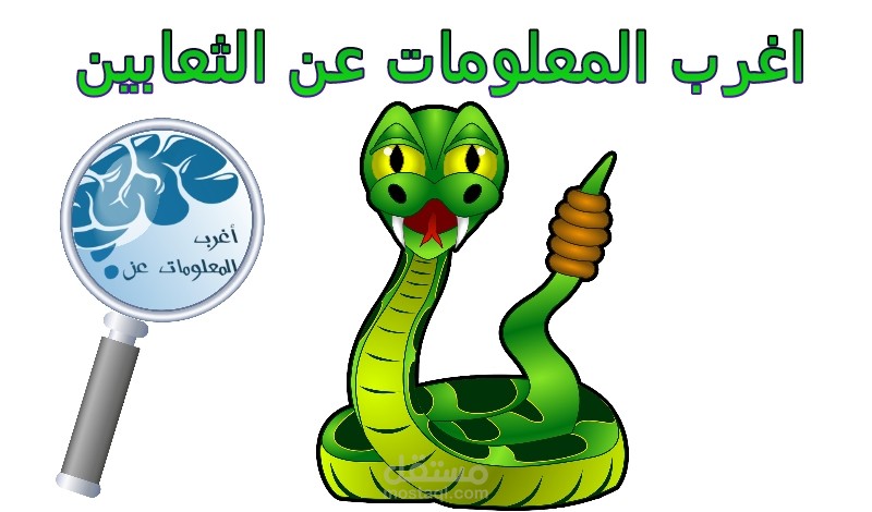 اغرب المعلومات عن الثعابين