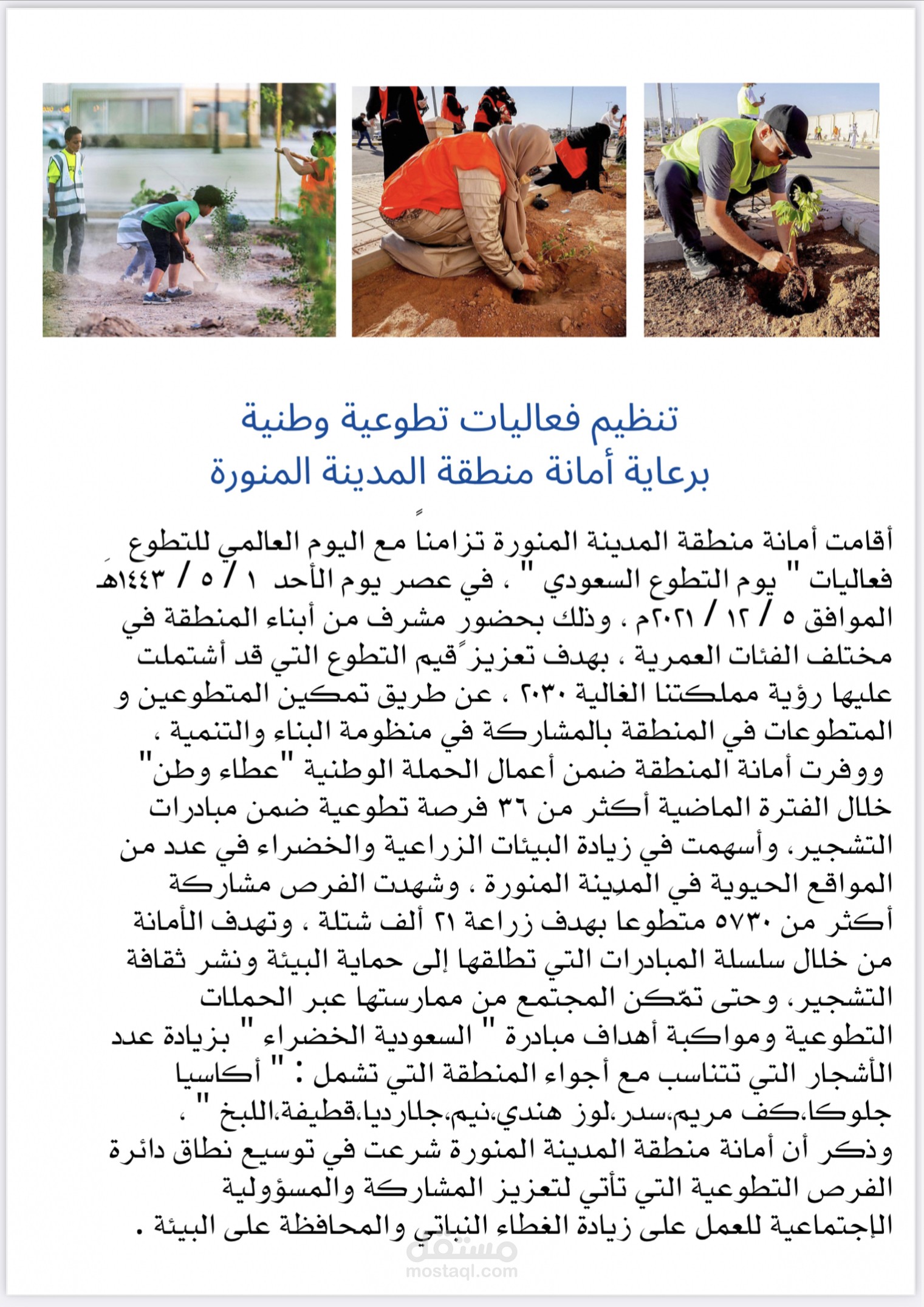 كتابة تقرير إخباري