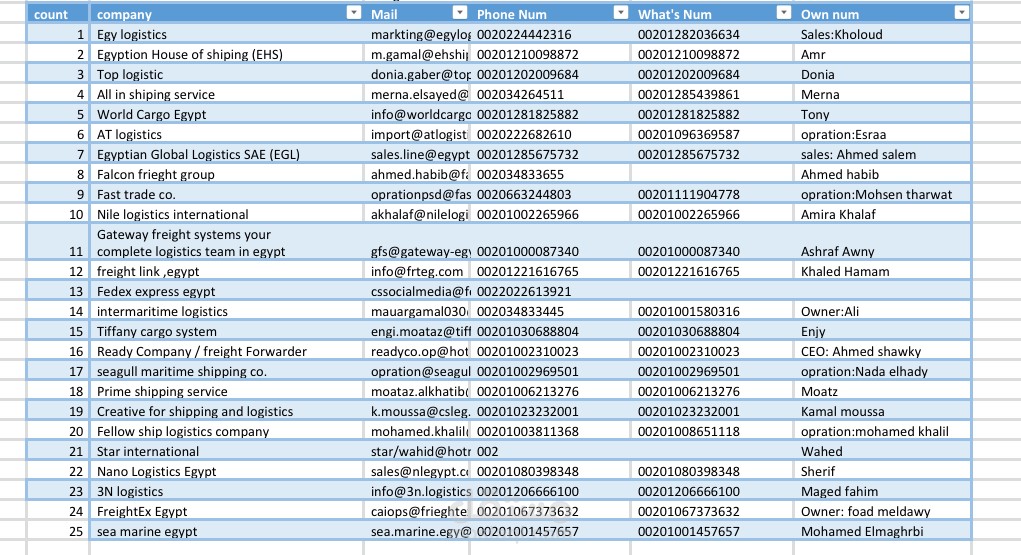 تنسيق نموذج Excel يحتوي على بيانات شركات شحن دولي