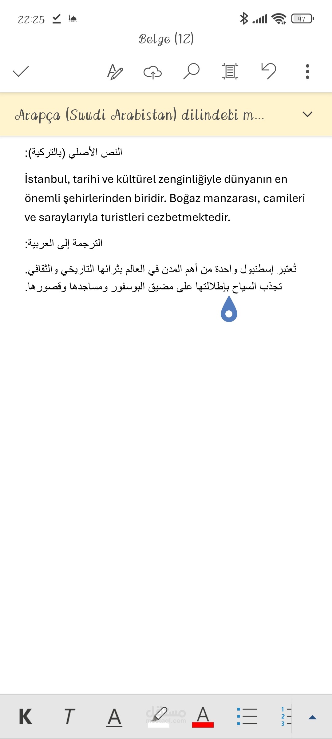 ترجمة سياحية من التركية إلى العربية – مدينة إسطنبول