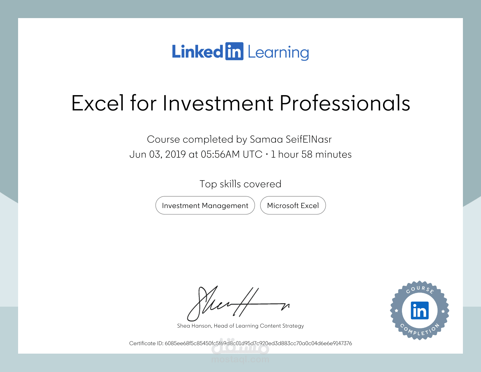 Excel for Investment Professionals