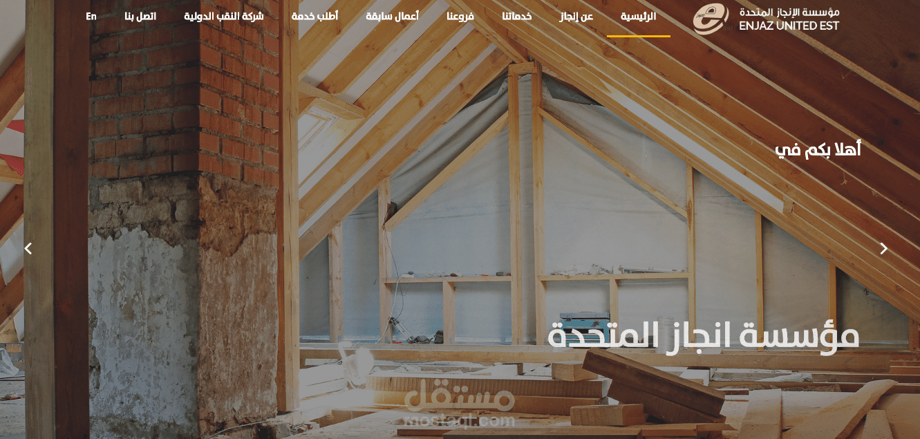 تصميم موقع الكتروني محترف