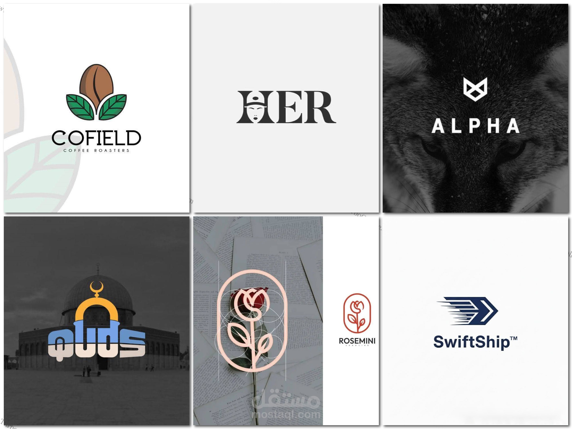 تصميم شعارات و هويات بصرية إحترافية لمختلف النشاطات و الأعمال