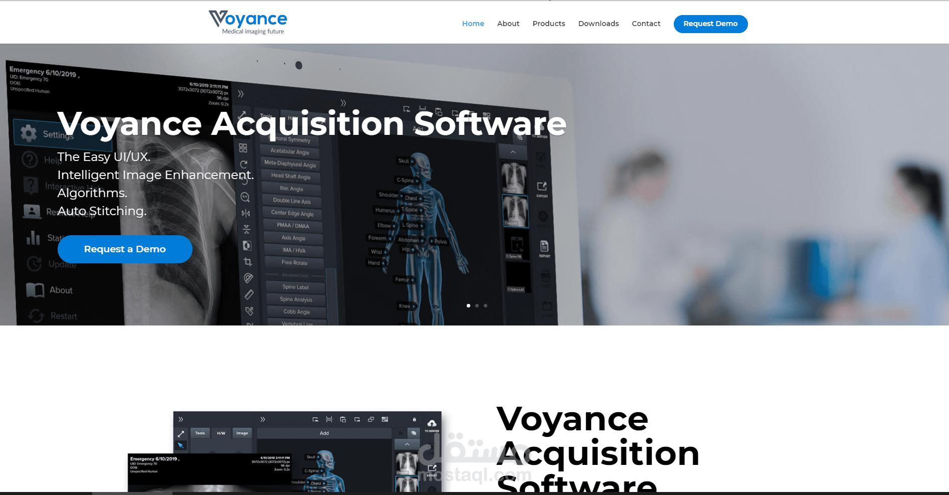 Voyance Website