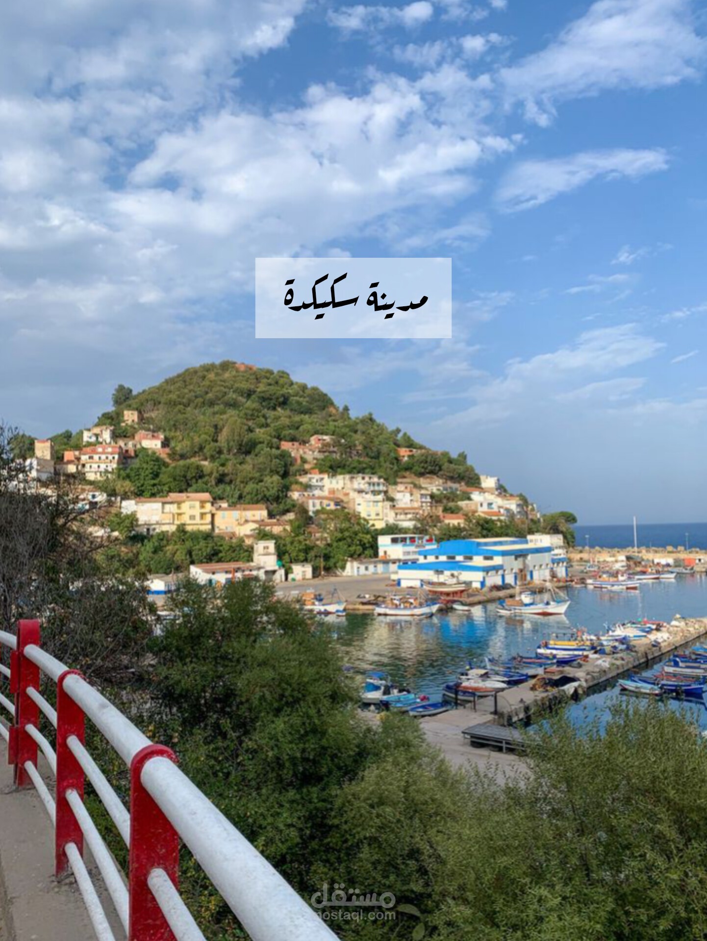 مشروع شاب فكرة السياحي