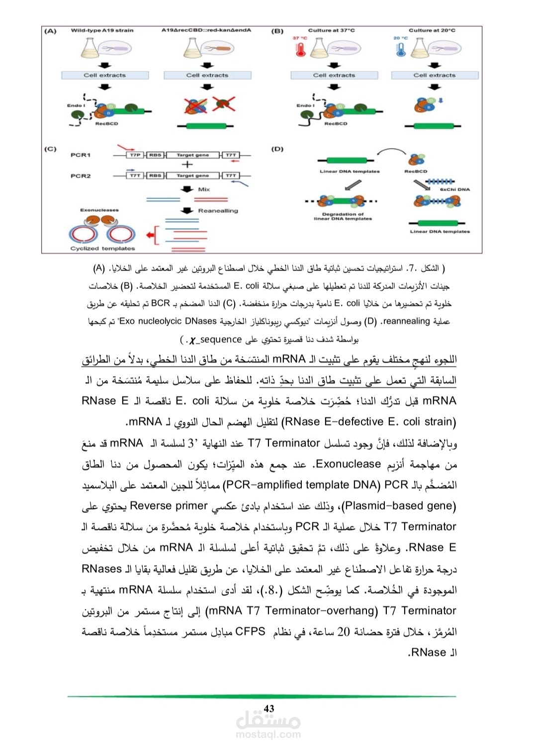 ترجمة وإعادة صياغة محتوى أكاديمي من الإنكليزية إلى العربية