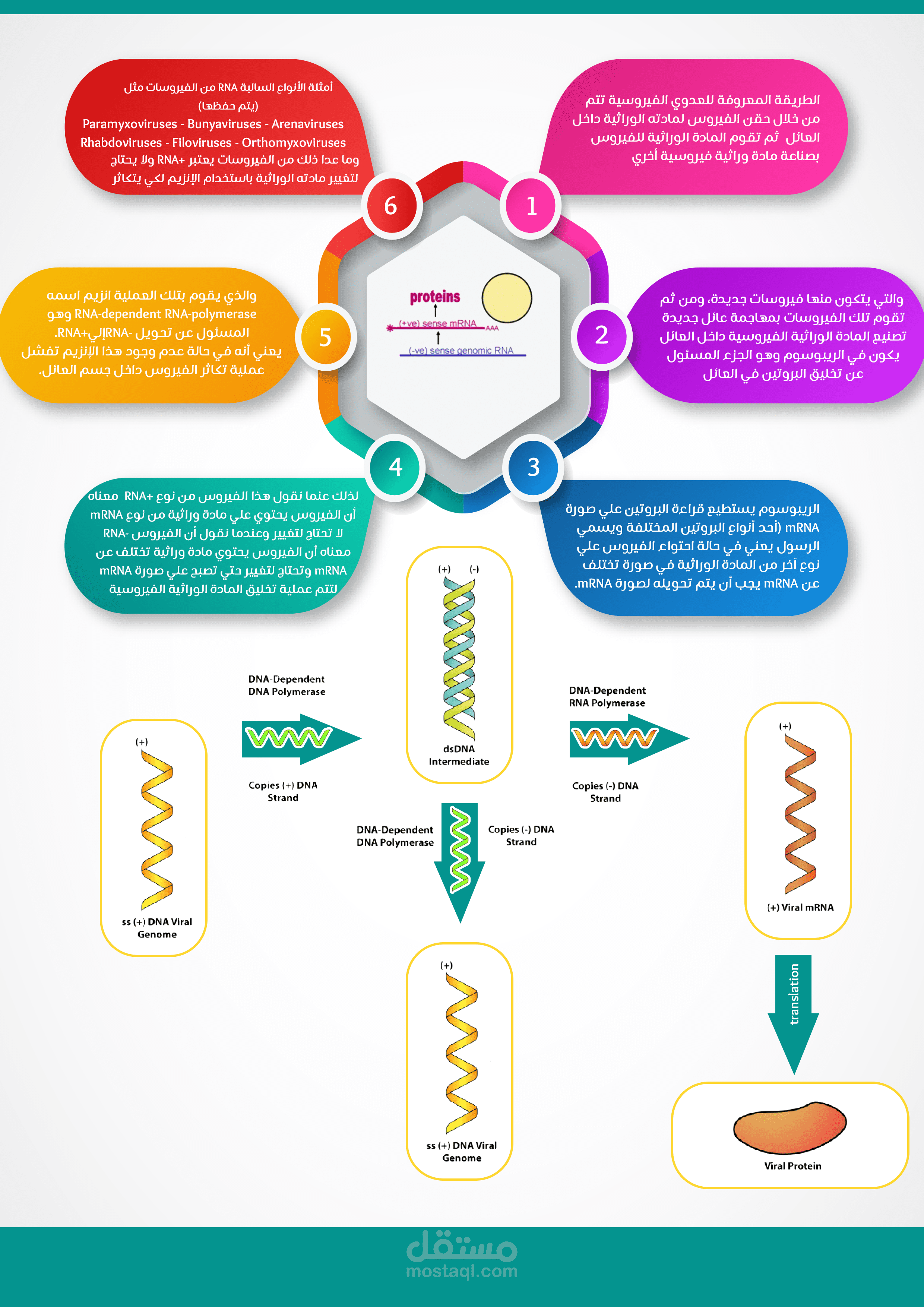 تصميم انفوجرافك احترافى