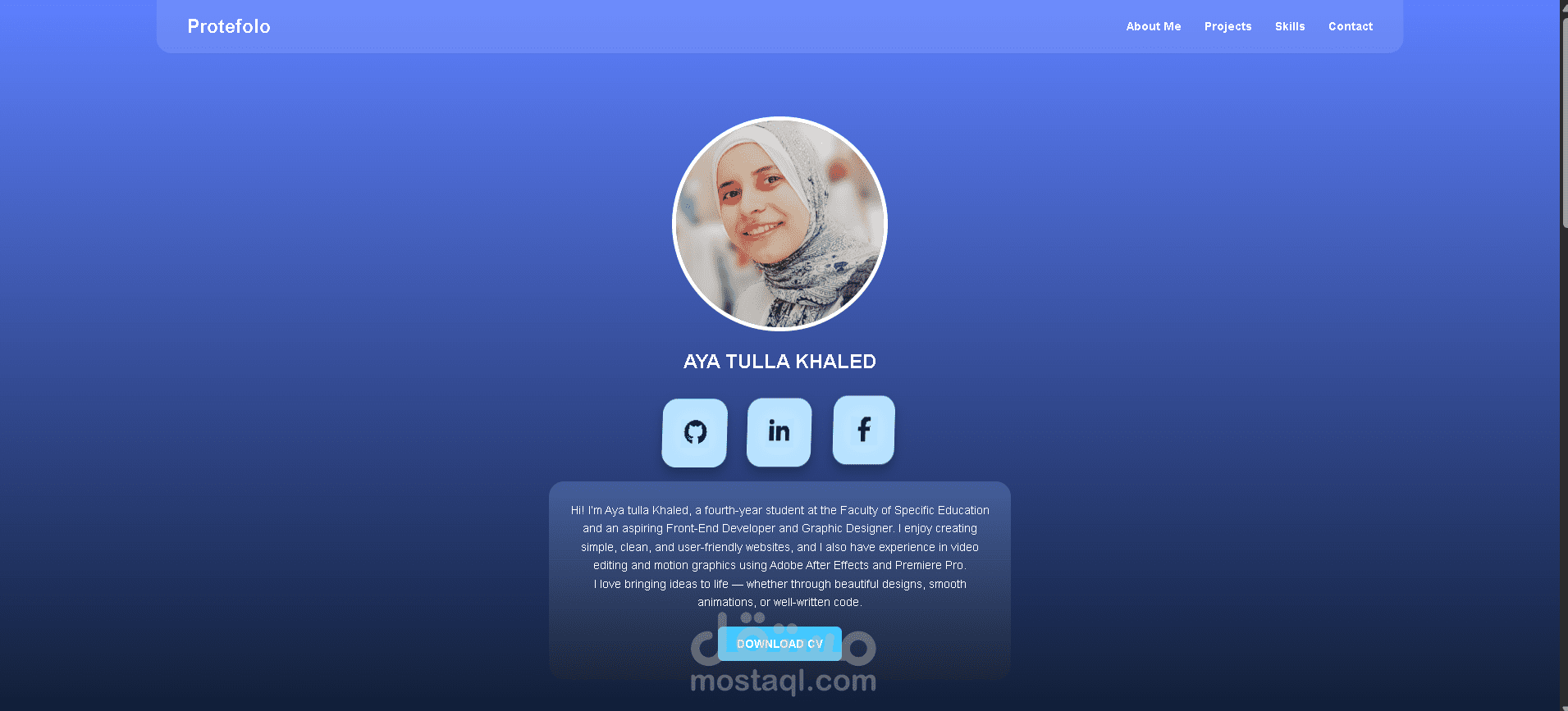 الملف الشخصي (Portfolio)
