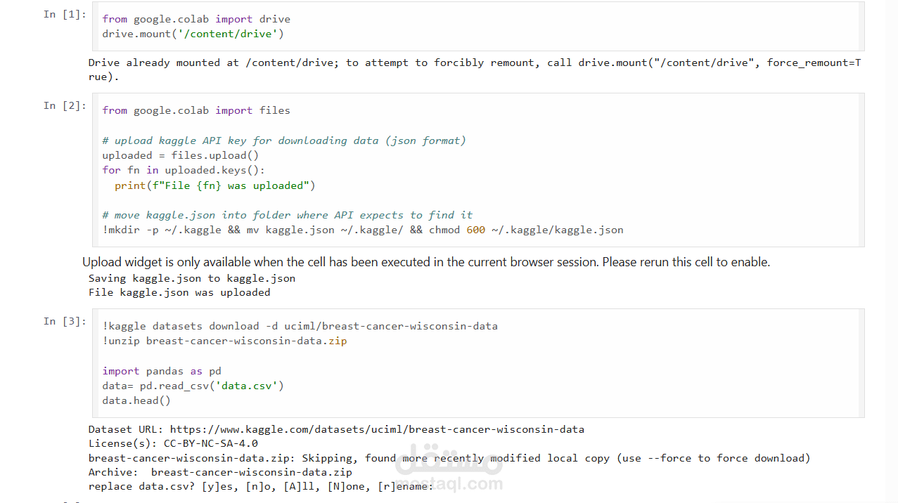 Spam Detection System