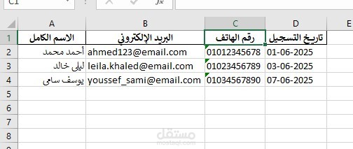 إدخال بيانات وتنظيم جدول Excel احترافي