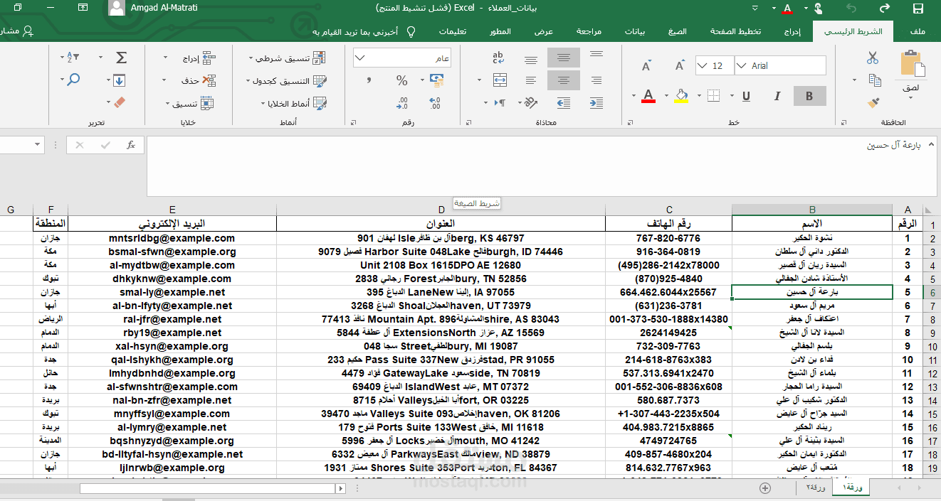 إدخال وتنظيم بيانات 500 عميل باستخدام Excel