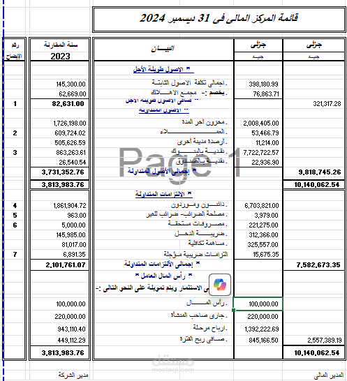 قوائم مالية لشركة مساهمة مصرية لعام المالي 2024