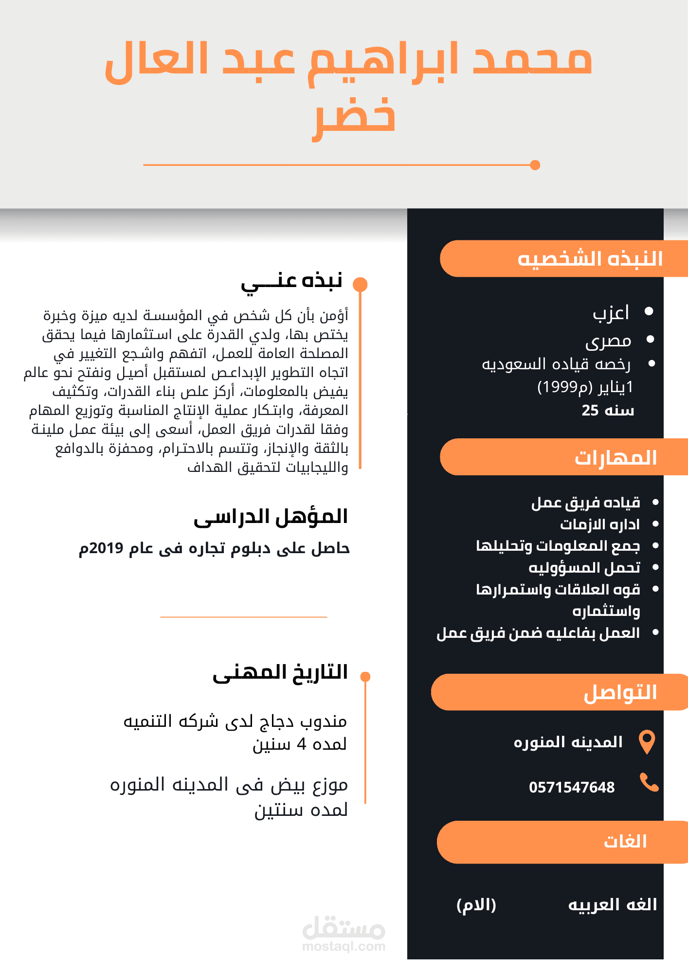 تصميم سيره ذاتيه احترافيه