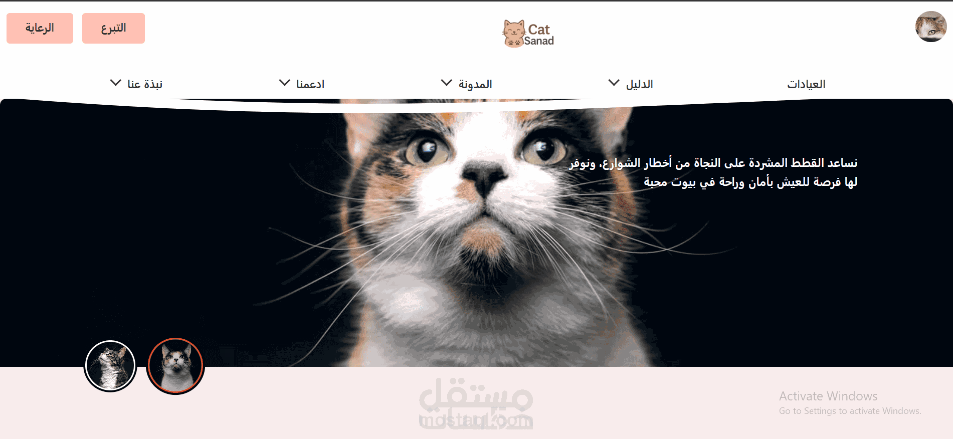CatSanad