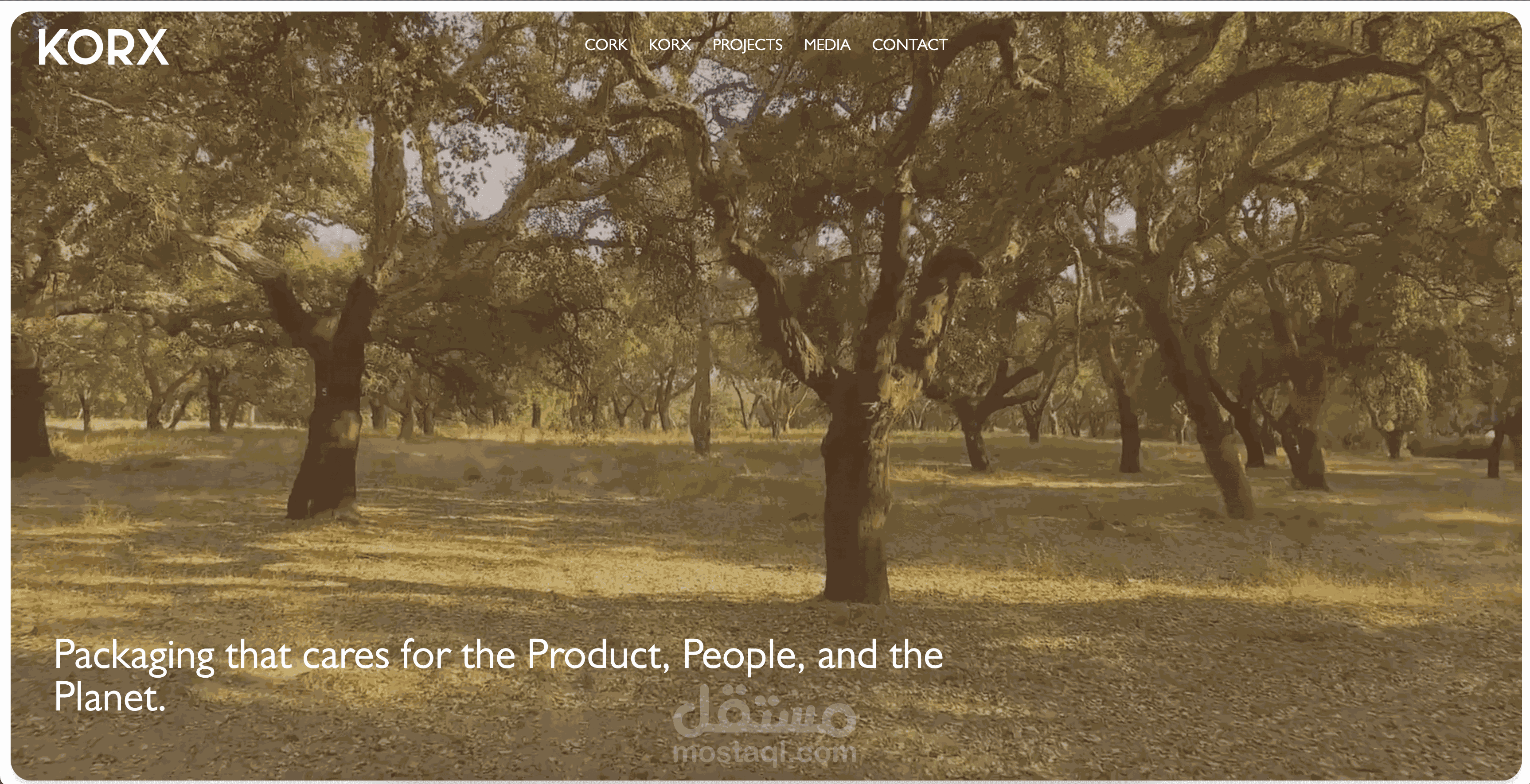 تطوير موقع شركة KORX التقني