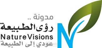 إدارة مدونة لمدة ثلاثة أشهر