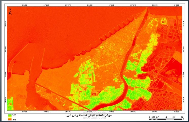 مساحات الاراضى الزراعية في راس البر
