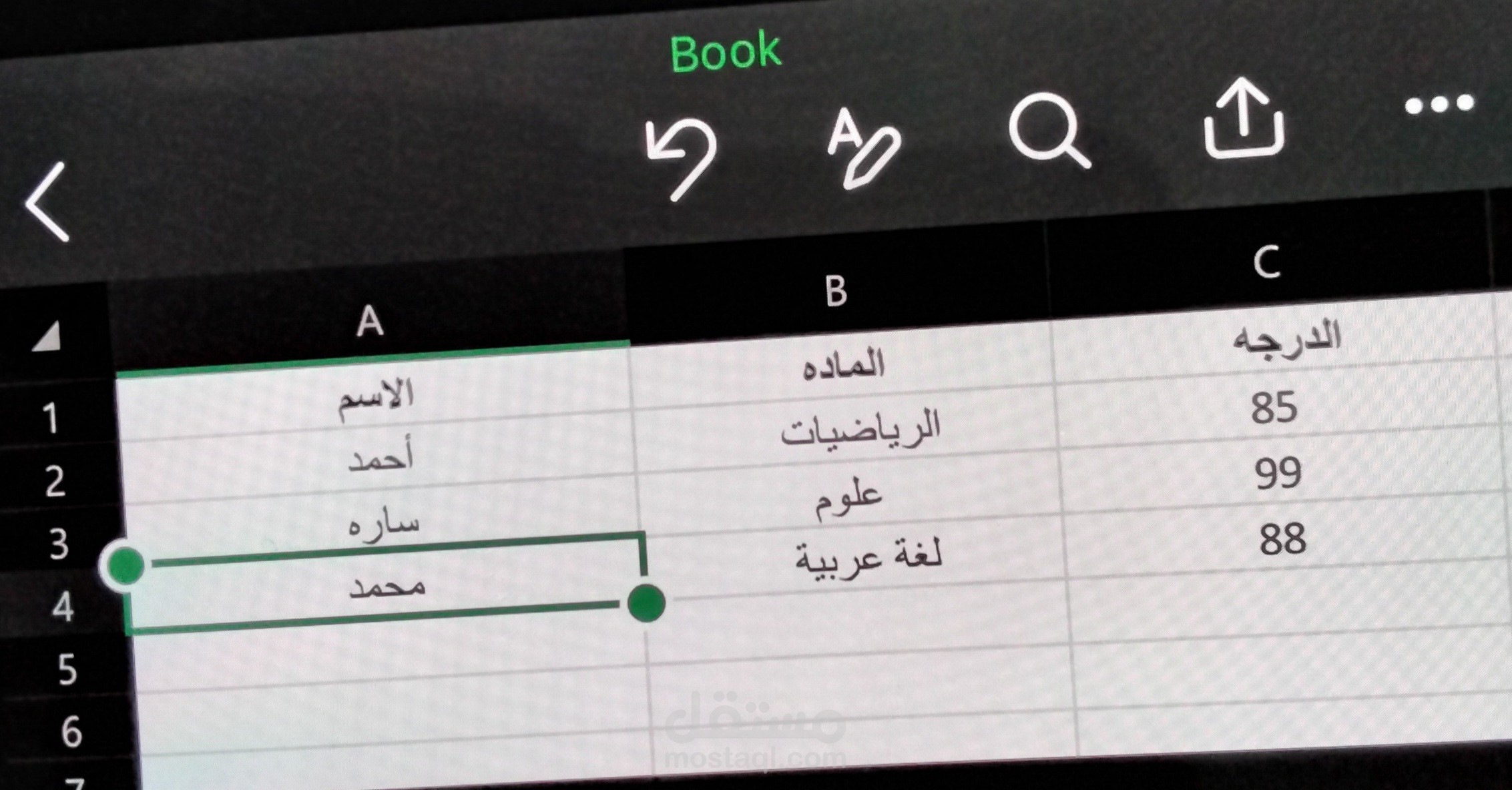 مدخلة بيانات دقيقة ومنظمة