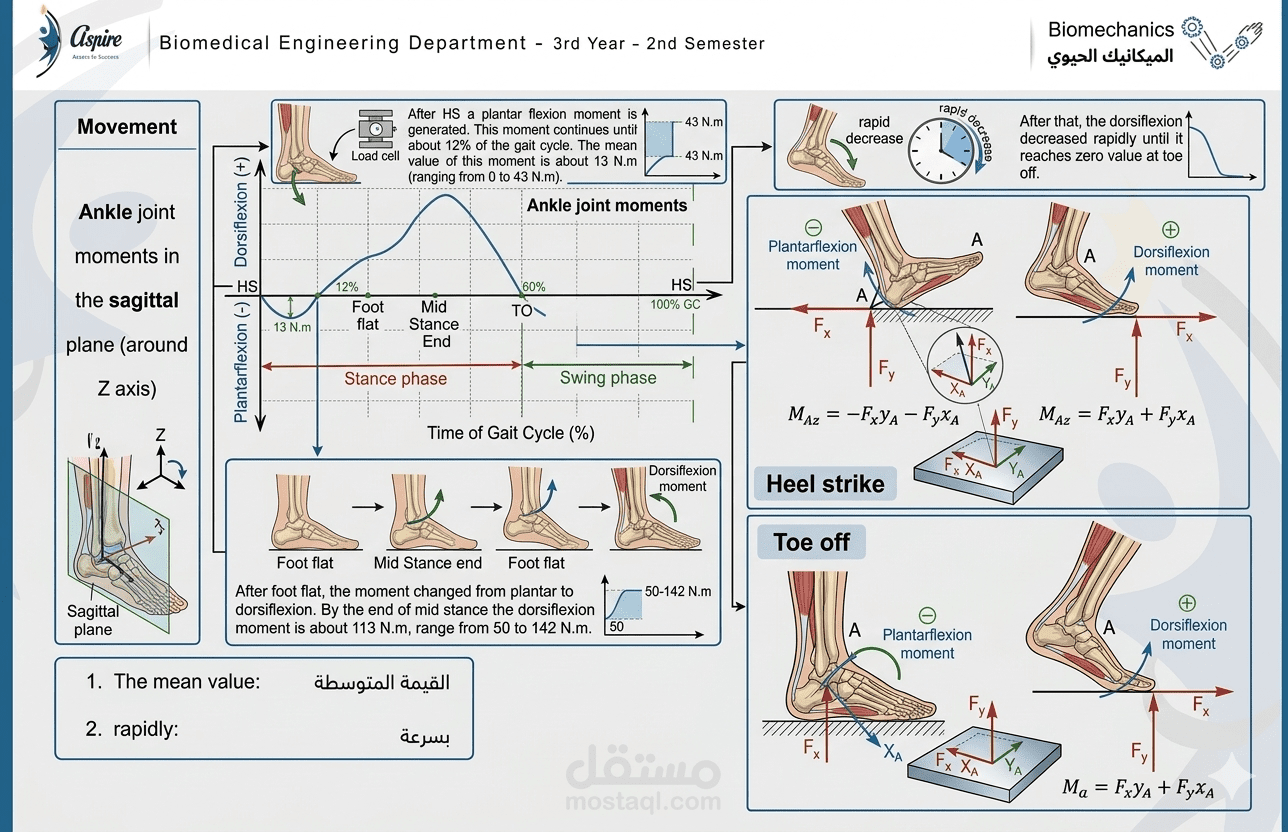 Biomechanics2