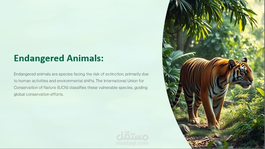 Presentation about Endangered Animals