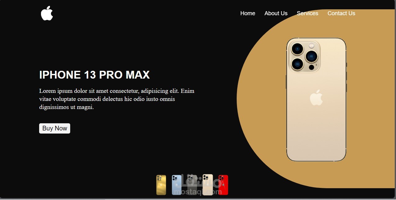 Simple Landing page about IPhone 13 Pro Max