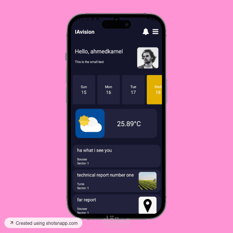IAvision (my work at styx agency)