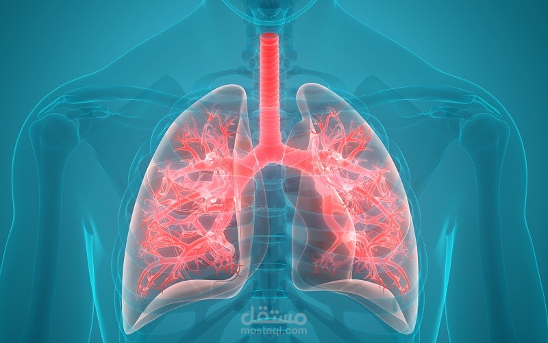 X-ray images Covid19